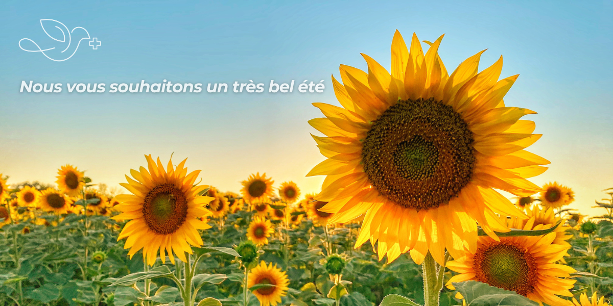 1200 x 600px web message summer 2025