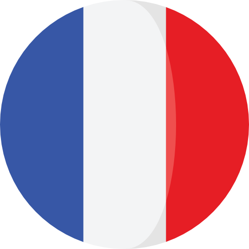 france flag round